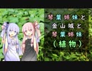 【群馬県】琴葉姉妹と金山城と琴葉姉妹（植物）【VOICEROID車載】