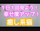 一日一回見るだけ！幸せになれる！癒し猫！！　スーパー発達メンター　NLPer　親子発達お悩み相談室　子ども　発達支援　コーチ　ティーチ　メンター　心理　感覚統合　原始反射　大脳　EQ　IQ ストレス