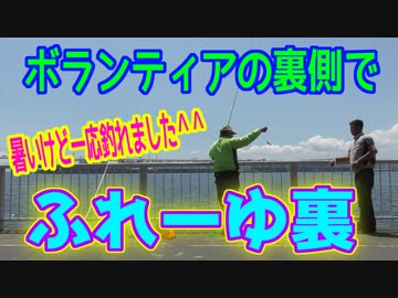釣り動画ロマンを求めて 番外編（ボランティアの裏側で 暑いけど一応釣れましたinふれーゆ裏）