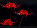 【ニコラップ】21g 【えいち】