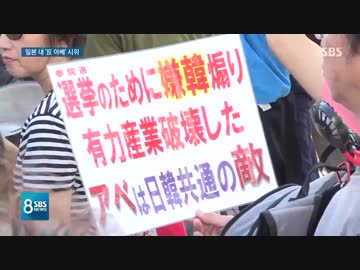 良心的日本人300人が東京のど真ん中で日韓連携！安倍打倒を叫ぶ？