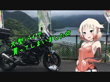 【ONE車載】飲ん兵衛さんチーム、出撃します！【おまけ・大型編】