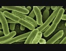 Check out this youtube video to see the 5 foods rich in vitamin D