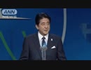 大炎上[安倍晋三総理]「I yo Don」©International Counter Terrorism