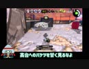 【刀剣乱舞】まんば＆光忠がイカ「達」の街へ　その9【偽実況】
