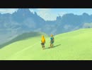 【実況】十五の掟で挑むブレスオブザワイルド～part.Final～