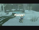 十五の掟で挑んだブレスオブザワイルド(後語り)