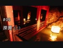 影廊 -Shadow Corridor- 〃にゃんこの追っかけ気味な実況プレイ 09