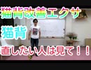 猫背改善　１　スーパー発達メンター　NLPer　親子発達お悩み相談室　子ども　発達支援　コーチ　ティーチ　メンター　心理　感覚統合　原始反射　視覚　大脳　EQ　IQ ストレス　研究