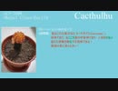【ゆっくり】SCP-3388・さぼてん、名状しがたき【朗読】
