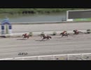 2019年8月4日高知競馬3R ２歳新馬 壱(2歳-1組) ガンバルン