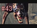 Bloodborne 最高難易度7周目 本編＆DLC全ボス撃破 全ED制覇 実況プレイ #43