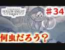 　【Hollow Knight】虫嫌いのホロウなナイト#34　【探索ぶつ切り】