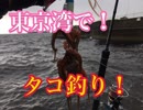 東京湾でタコが爆釣！と聞いて行ってみたら〇〇が釣れたｗ【もっち釣動組合♯５３】