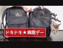 【モアクリ】 ドキドキ★病院デー