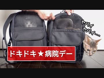 【モアクリ】 ドキドキ★病院デー