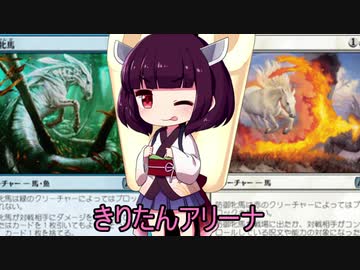 きりたんアリーナ【MTGアリーナ】　５５杯目
