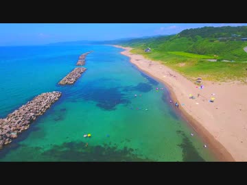 素浜海水浴場へ行ったらヒマワリ達が踊りながら迎えてくれた件！！