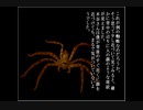 【大学生にもなってあった怖い話 第三夜】ホラーゲームで納涼したいよin2019夏【実況プレイ】