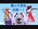 【ポケモンUSM】帰ってきた水統一！　PART3【ゆっくり実況】