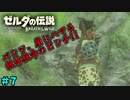 【続編決定記念】のんびりと伝説「ゼルダの伝説～ブレスオブザワイルド～」　＃7