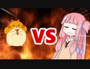 茜ちゃんVSゴールデンハムスター