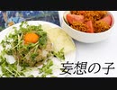 【妄想ADV風】ごま油香る豆苗ポテチャーハン、あーんど、ばりばり食感チキンサラダ【天気の子】