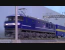 トミックス　ＪＲ　ＥＦ２１０ （新塗装）   コキ１０４西濃運輸