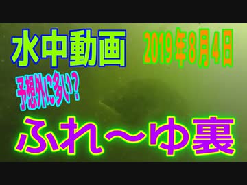 水中動画（2019年8月4日）in ふれーゆ裏
