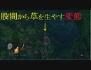 地獄の初見縛り【ダークソウルリマスター】part8