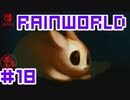 命がけのサバイバル！RainWorld実況するで#18【Switch/日本語版】