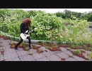 THE RUNAWAYS 「WASTED」　ギターで弾いてみたオカマ