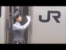 Tokyo underground home Narita Express connection Female conductor (1)