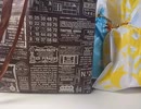 友人からの誕生日プレゼントで遊ぶ配信