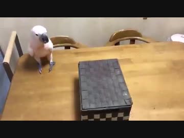 箱を開けると・・・