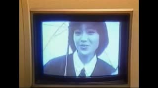 酒井法子 ミーハー