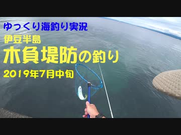 伊豆半島・木負堤防の釣り　2019年7月中旬