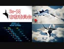 Ace Combat 7 Multiplayer252  バトルロイヤル  Su-34 + HCAA