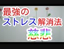 最強のストレス解消法！それは慈悲！！　スーパー発達メンター　NLPer　親子発達お悩み相談室　フランキー兄さん　子ども　発達支援　コーチ　ティーチ　メンター　心理　感覚統合　原始反射　視覚　大脳