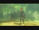 厄災を振り払う剣となれ ゼルダの伝説ブレスオブザワイルドを実況 剣5