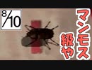 【ぼくのなつやすみ２】ぼくの夏休みはノスタルジーで満ちている １０日目【実況】
