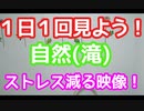 滝①　スーパー発達メンター　NLPer　親子発達お悩み相談室　子ども　発達支援　コーチ　ティーチ　メンター　心理　感覚統合　原始反射　視覚　大脳　EQ　IQ