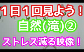 滝②　スーパー発達メンター　NLPer　親子発達お悩み相談室　子ども　発達支援　コーチ　ティーチ　メンター　心理　感覚統合　原始反射　視覚　大脳　EQ　IQ