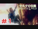 ゼルダ初心者とガチ勢のほのぼの伝説【ゼルダの伝説ブレスオブザワイルド実況：part1】