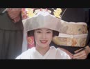 ダイジェスト
