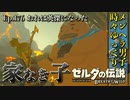 【実況】ゼルダ童貞による ゼルダの伝説BotW（ブレスオブザワイルド）Part176