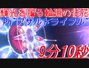 【PSO2】PhのARで "輝光を屠る輪廻の徒花”（9分10秒）