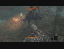 【隻狼敵HP2倍即死通常攻撃縛り】どすこい系中ボスの第二の刺客#11