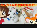 【描いてみた】とっとこハム太郎～ハムちゃんず大集合なのだ!!～【ストップモーション】