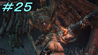 【ダークソウル３】熱い魂(ソウル)を燃やし尽くせ！！ #２５【夏休みの宿題】